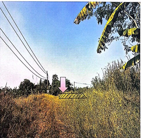 รูปที่ดินว่างเปล่า กระทุ่มราย(เจียระดับ) หนองจอก(เจียระดับ) กรุงเทพมหานคร