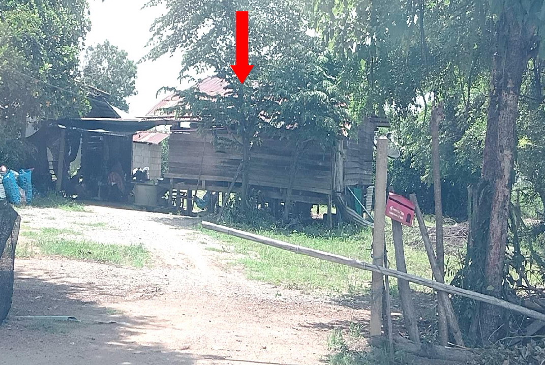 รูปที่ดินพร้อมสิ่งปลูกสร้าง วังใหญ่ ศรีสำโรง สุโขทัย