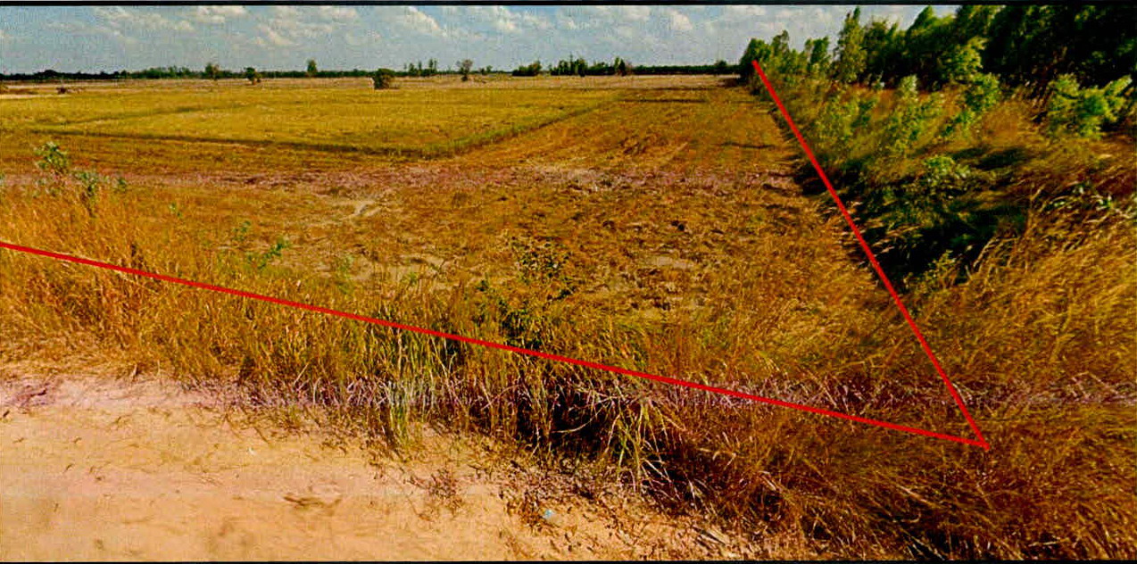 รูปที่ดินว่างเปล่า ตรึม ศีขรภูมิ สุรินทร์
