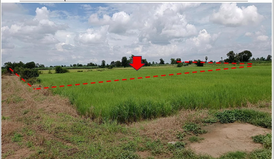 รูปที่ดินว่างเปล่า ทุ่งยางเมือง คีรีมาศ สุโขทัย