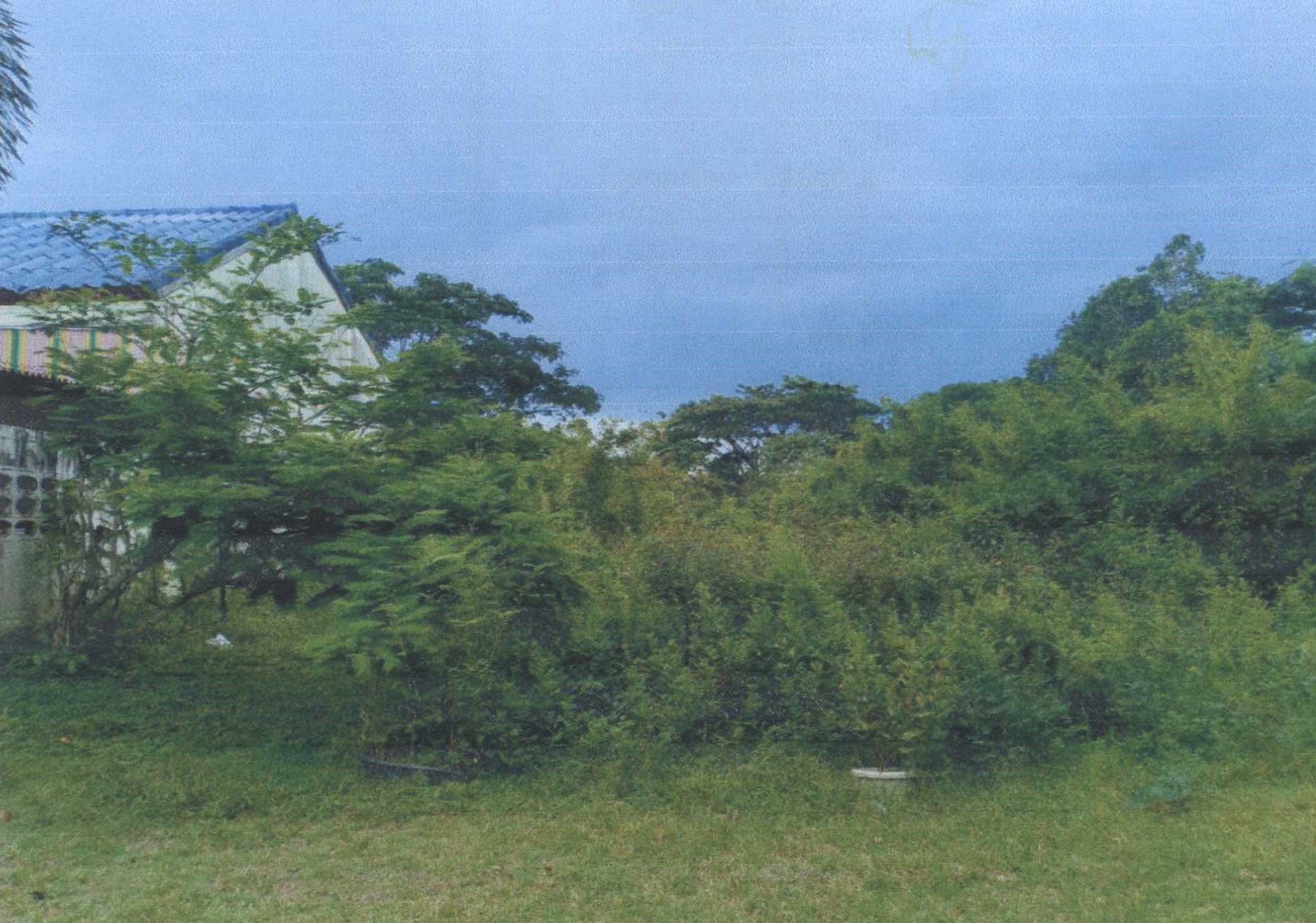 รูปที่ดินว่างเปล่า พิมาน เมืองสตูล สตูล
