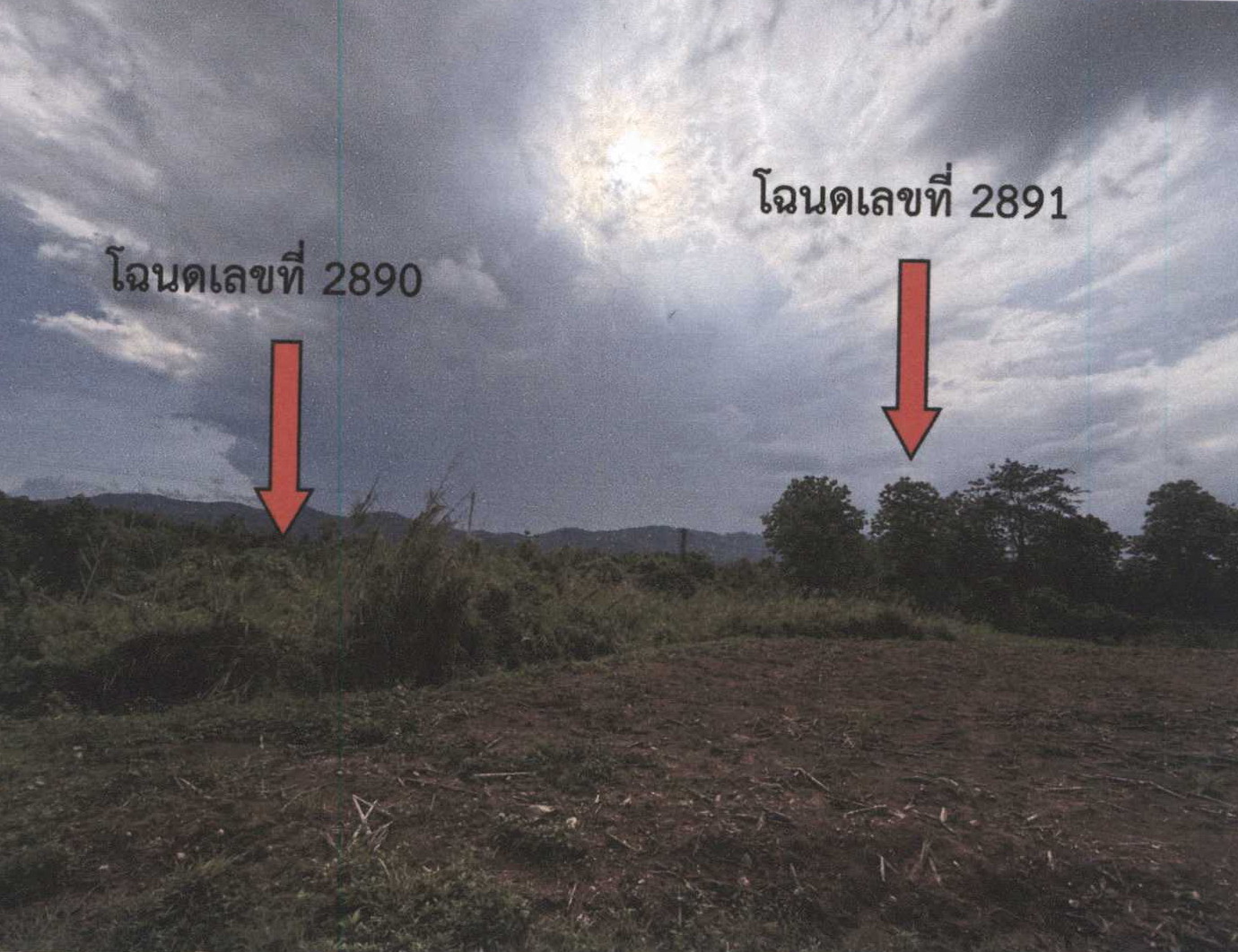 รูปที่ดินว่างเปล่า หล่ายงาว เวียงแก่น เชียงราย
