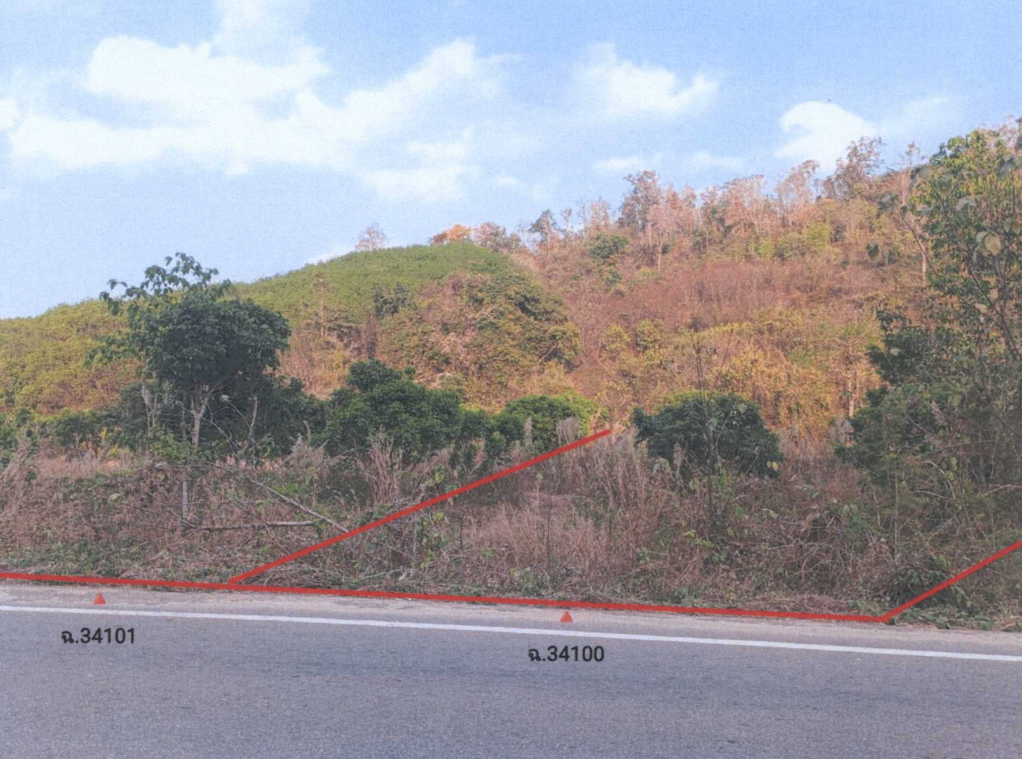 รูปที่ดินว่างเปล่า งิม ปง พะเยา