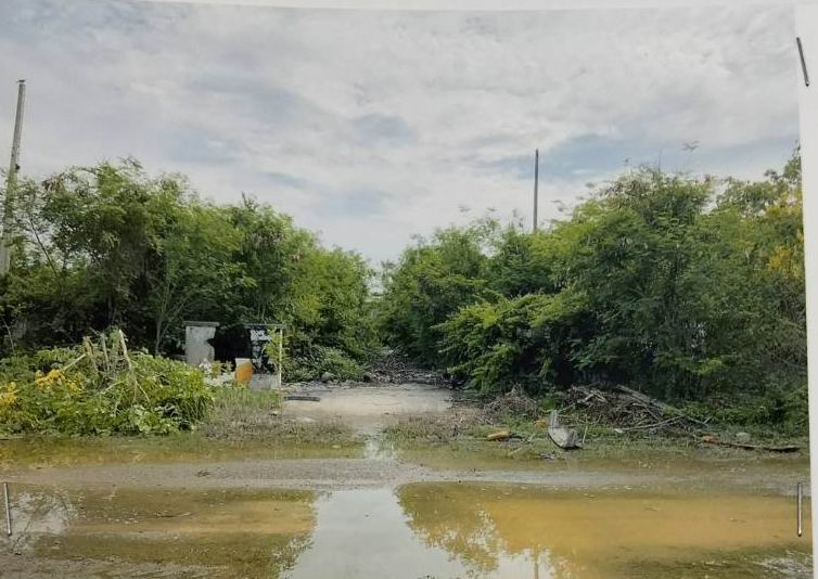 รูปที่ดินว่างเปล่า โคกสำโรง โคกสำโรง(สระโบสถ์) ลพบุรี
