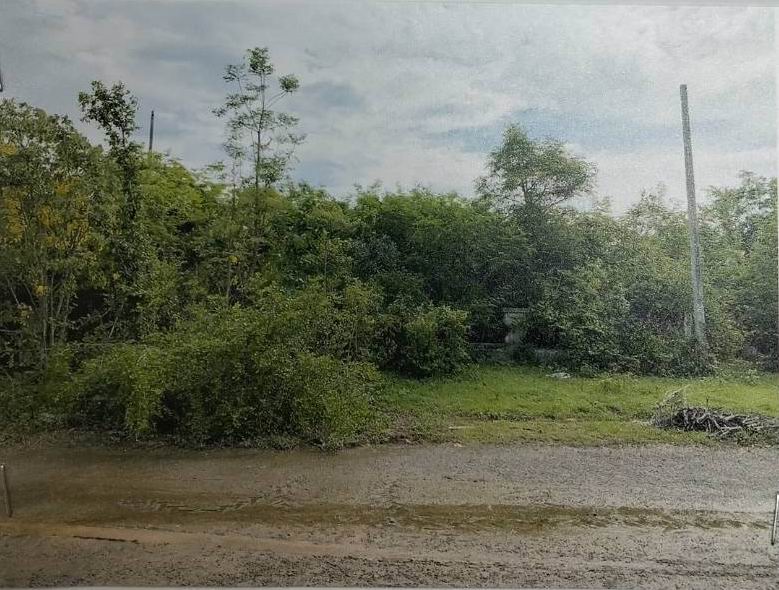 รูปที่ดินว่างเปล่า โคกสำโรง โคกสำโรง(สระโบสถ์) ลพบุรี