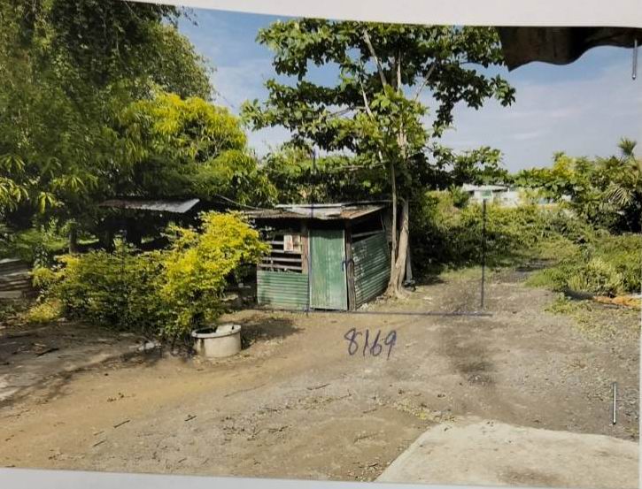 รูปที่ดินว่างเปล่า โคกสำโรง โคกสำโรง(สระโบสถ์) ลพบุรี