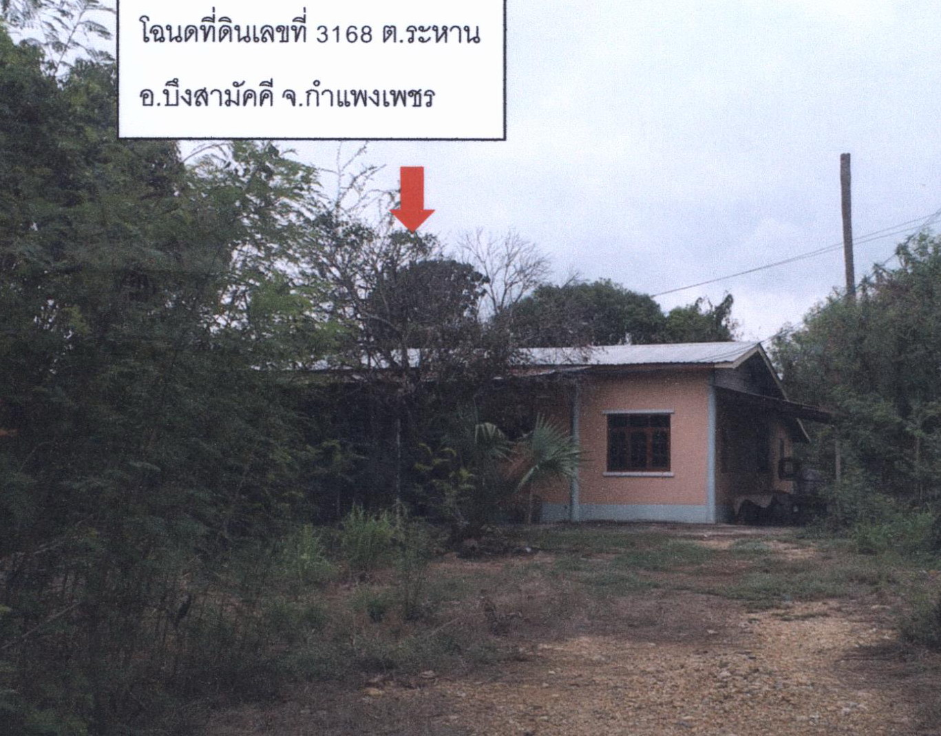 รูปที่ดินพร้อมสิ่งปลูกสร้าง ระหาน บึงสามัคคี กำแพงเพชร