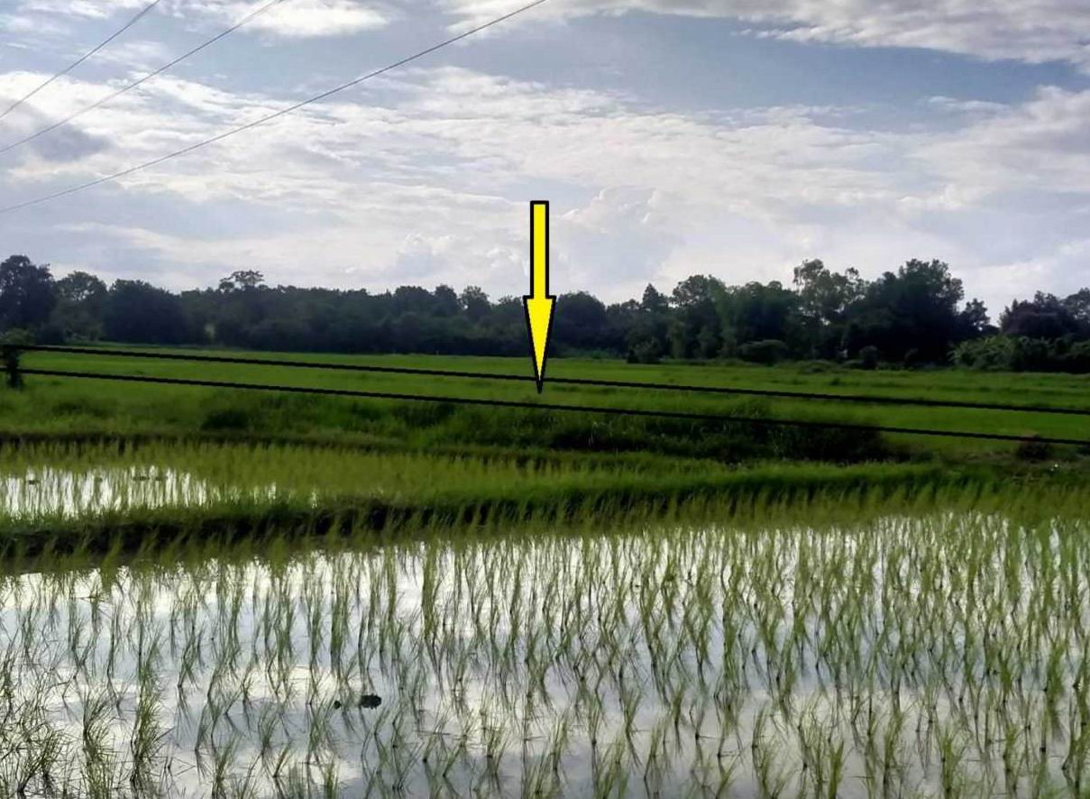รูปที่ดินว่างเปล่า ลำภู เมืองหนองบัวลำภู หนองบัวลำภู