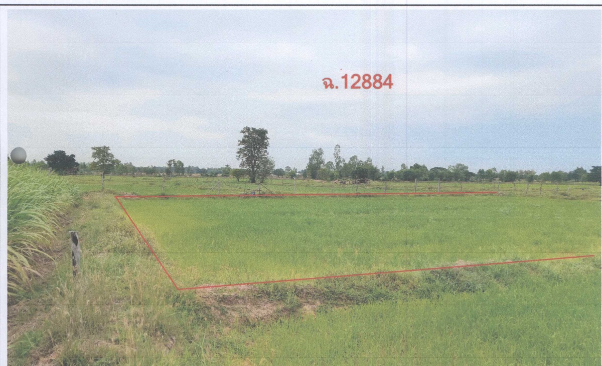 รูปที่ดินว่างเปล่า ดงเมืองแอม เขาสวนกวาง ขอนแก่น