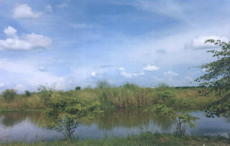 รูปที่ดินว่างเปล่า วังทอง ศรีสำโรง สุโขทัย