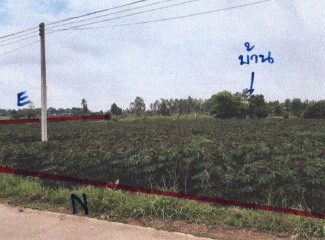 รูปที่ดินพร้อมสิ่งปลูกสร้าง บุ่งแก้ว โนนสะอาด อุดรธานี