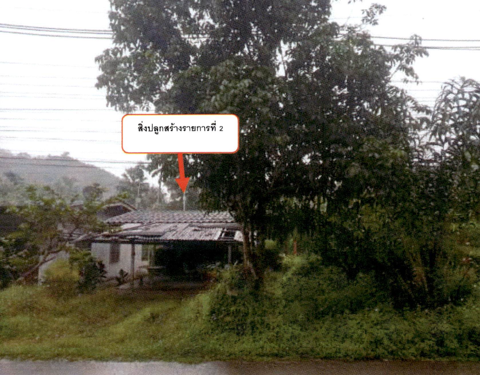 รูปที่ดินพร้อมสิ่งปลูกสร้าง บางพระเหนือ ละอุ่น ระนอง