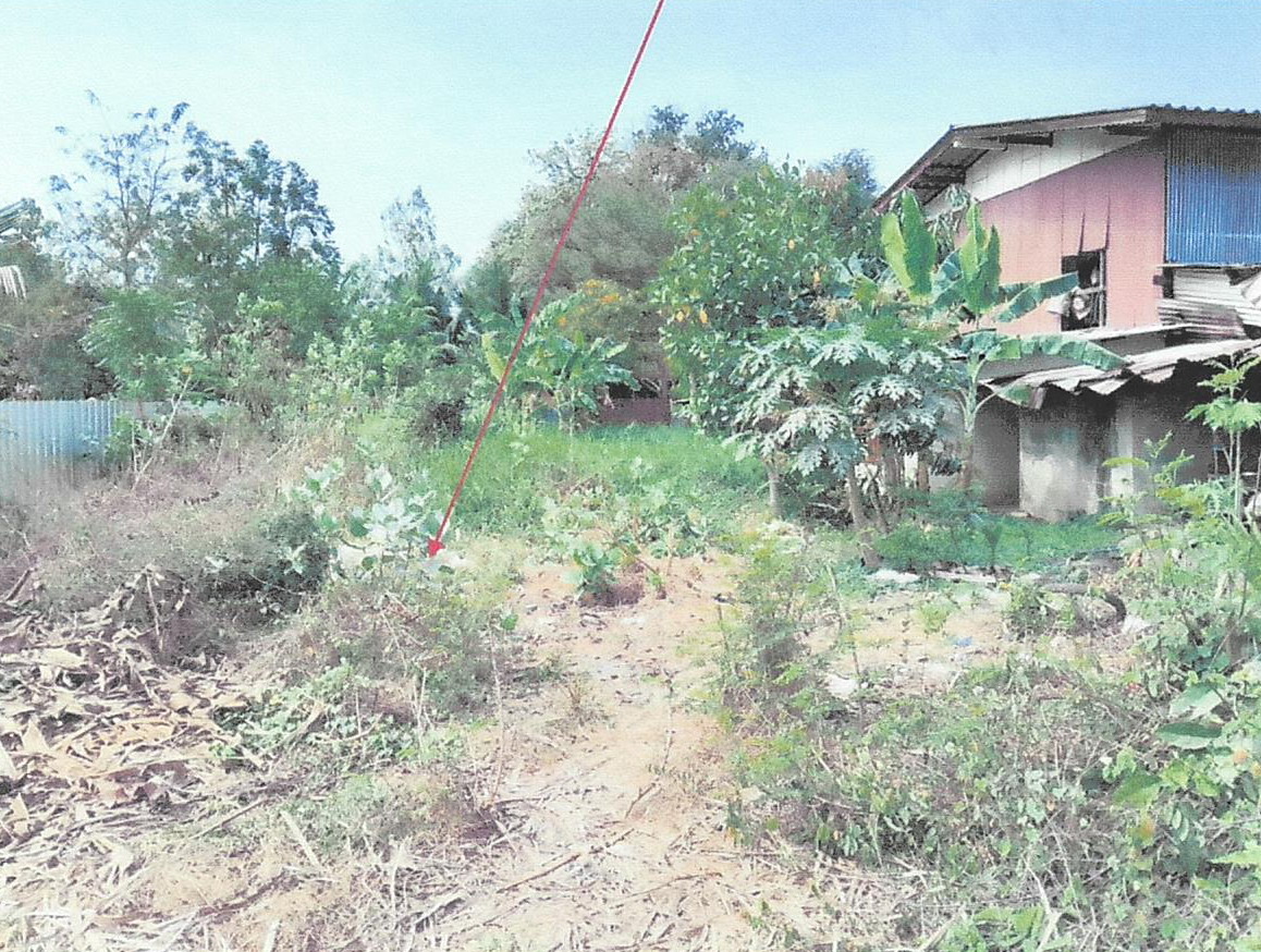 รูปที่ดินว่างเปล่า ห้วยกรดพัฒนา สรรคบุรี ชัยนาท