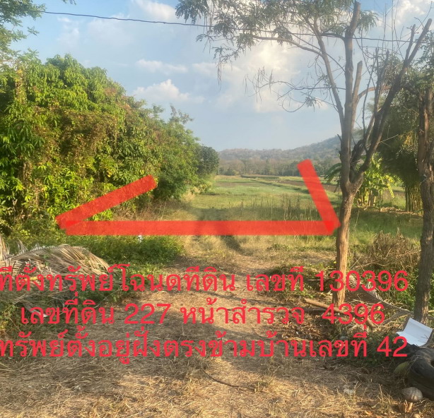 รูปที่ดินว่างเปล่า น้ำร้อน เมืองเพชรบูรณ์ เพชรบูรณ์