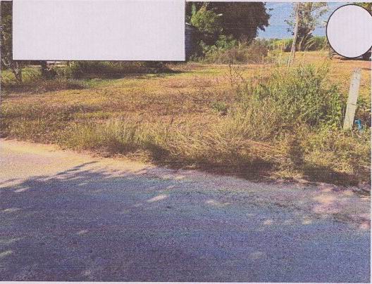 รูปที่ดินว่างเปล่า ชะโนด หว้านใหญ่ มุกดาหาร