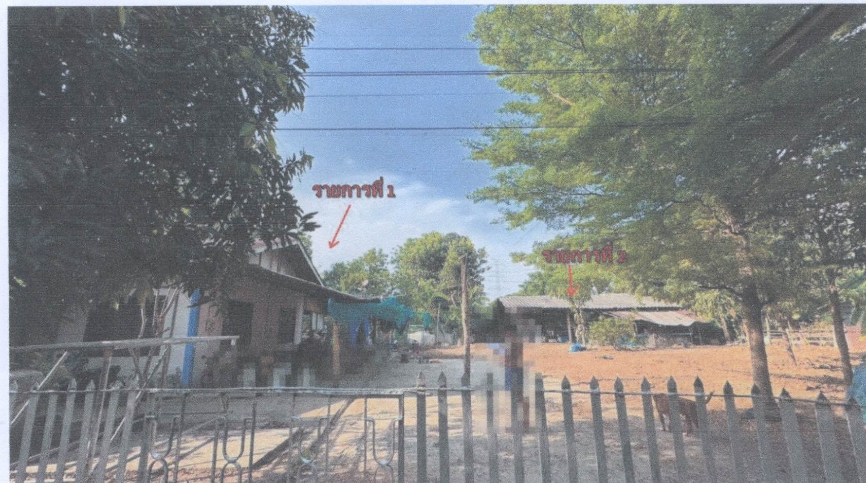 รูปที่ดินพร้อมสิ่งปลูกสร้าง ภูมิ บางมูลนาก พิจิตร