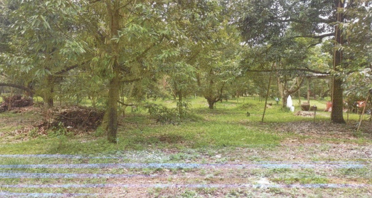 รูปที่ดินว่างเปล่า รำพัน ท่าใหม่ จันทบุรี