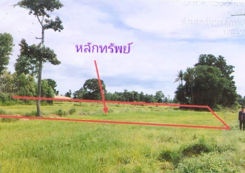รูปที่ดินว่างเปล่า จานใหญ่ กันทรลักษ์ ศรีสะเกษ