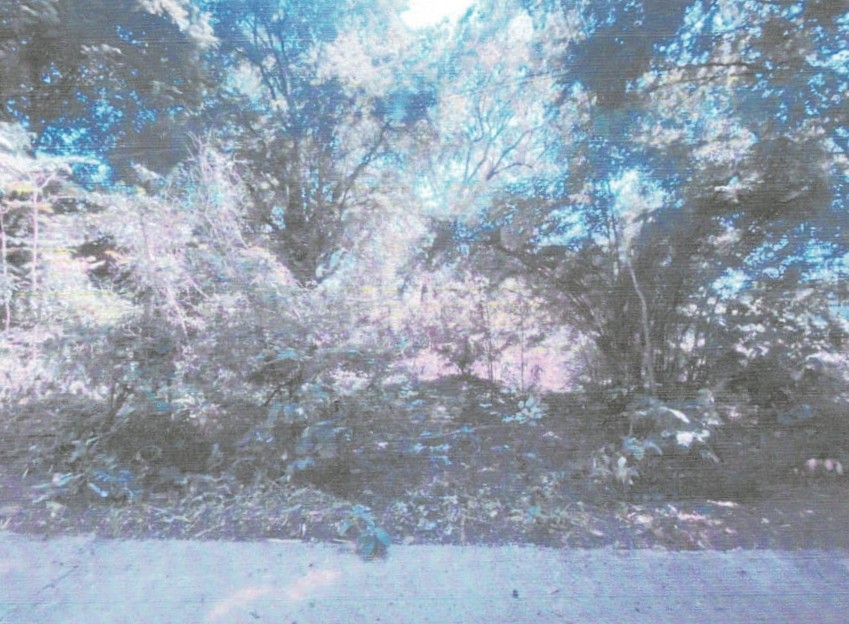 รูปที่ดินว่างเปล่า หนองกระทุ่ม ทัพทัน อุทัยธานี