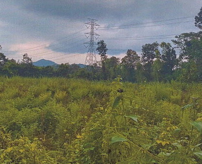 รูปที่ดินว่างเปล่า มุกดาหาร เมืองมุกดาหาร มุกดาหาร
