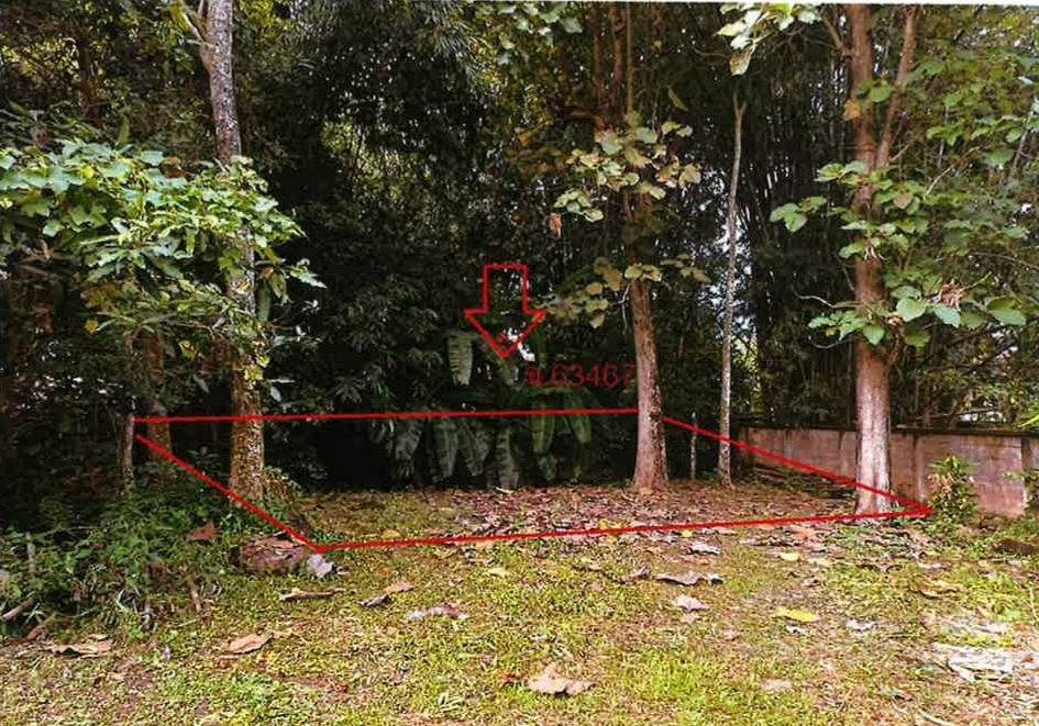 รูปที่ดินว่างเปล่า ป่าหุ่ง พาน เชียงราย
