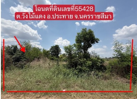 รูปที่ดินว่างเปล่า วังไม้แดง ประทาย นครราชสีมา