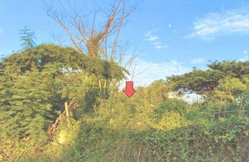 รูปที่ดินว่างเปล่า ชุมพวง ชุมพวง นครราชสีมา