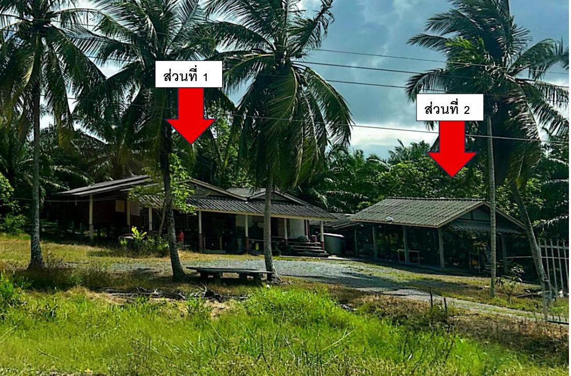 รูปที่ดินพร้อมสิ่งปลูกสร้าง ไสหมาก เชียรใหญ่ นครศรีธรรมราช