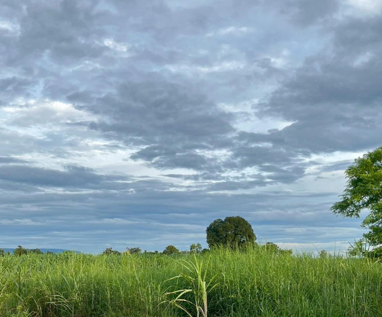 รูปที่ดินว่างเปล่า หนองเขียด ชุมแพ ขอนแก่น