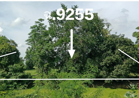 รูปที่ดินว่างเปล่า ทุ่งน้อย โพทะเล พิจิตร
