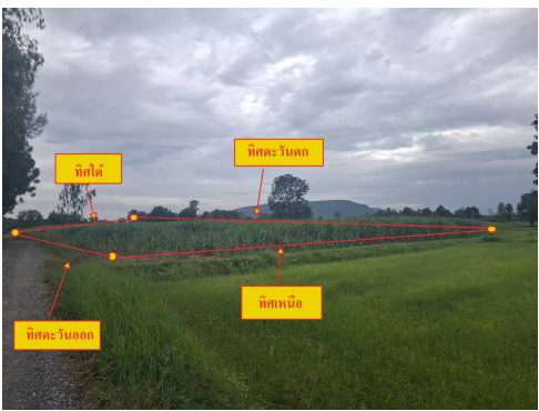 รูปที่ดินว่างเปล่า โอโล ภูเขียว ชัยภูมิ