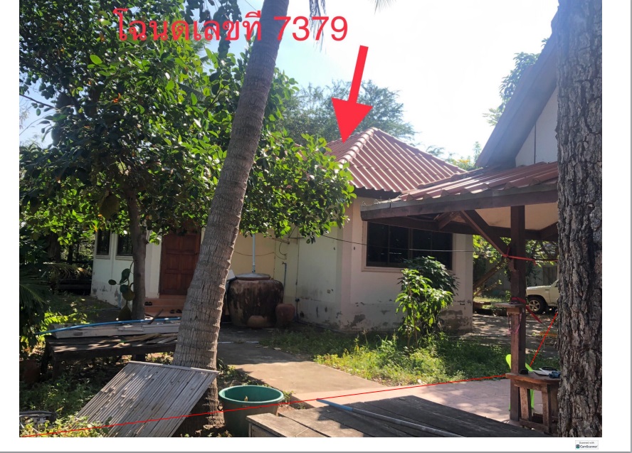 รูปที่ดินพร้อมสิ่งปลูกสร้าง เมืองคง คง นครราชสีมา
