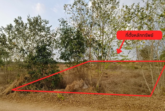 รูปที่ดินว่างเปล่า บ้านพริก บ้านนา นครนายก