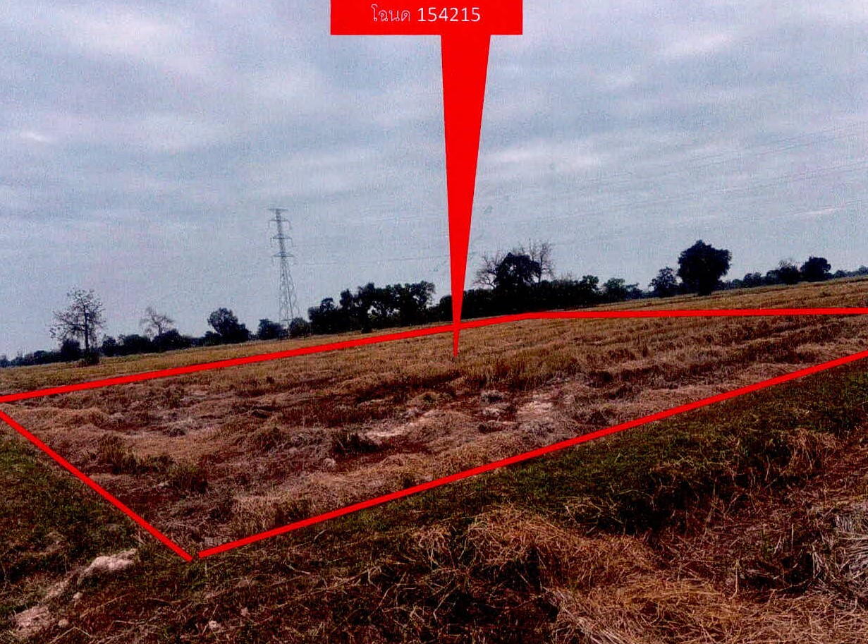 รูปที่ดินว่างเปล่า ตั้งใจ เมืองสุรินทร์ สุรินทร์