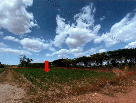 รูปที่ดินว่างเปล่า นามะเขือ สหัสขันธ์ กาฬสินธุ์