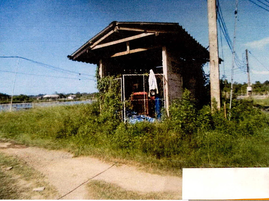 รูปที่ดินพร้อมสิ่งปลูกสร้าง ปิยามุมัง ยะหริ่ง ปัตตานี