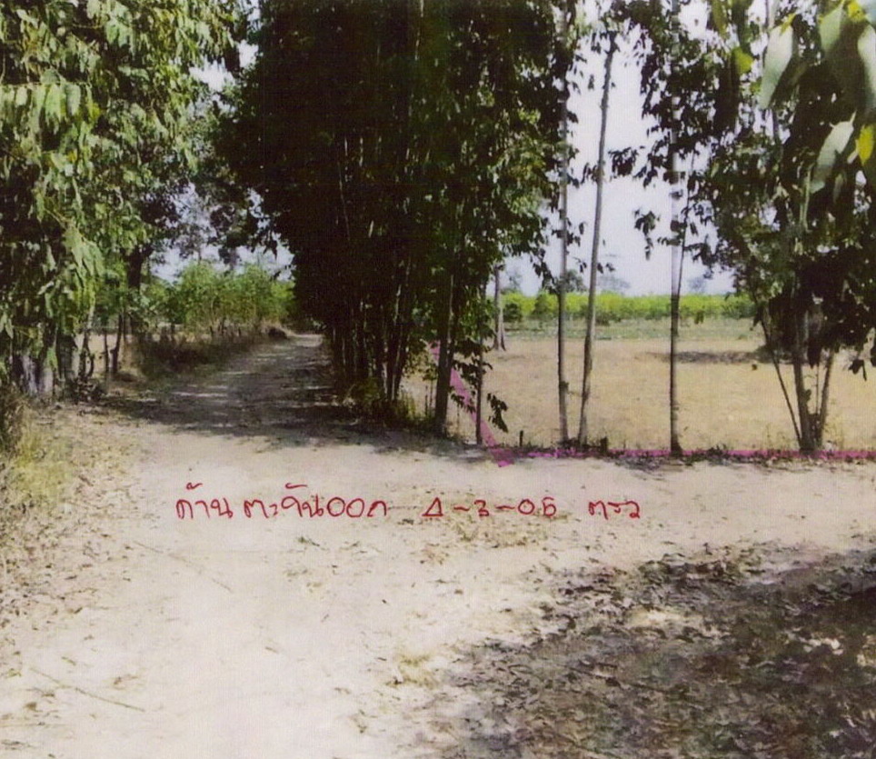 รูปที่ดินว่างเปล่า หนองใหญ่ ปราสาท สุรินทร์