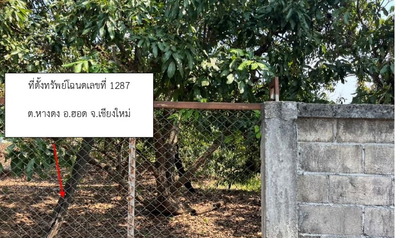 รูปที่ดินว่างเปล่า หางดง ฮอด เชียงใหม่