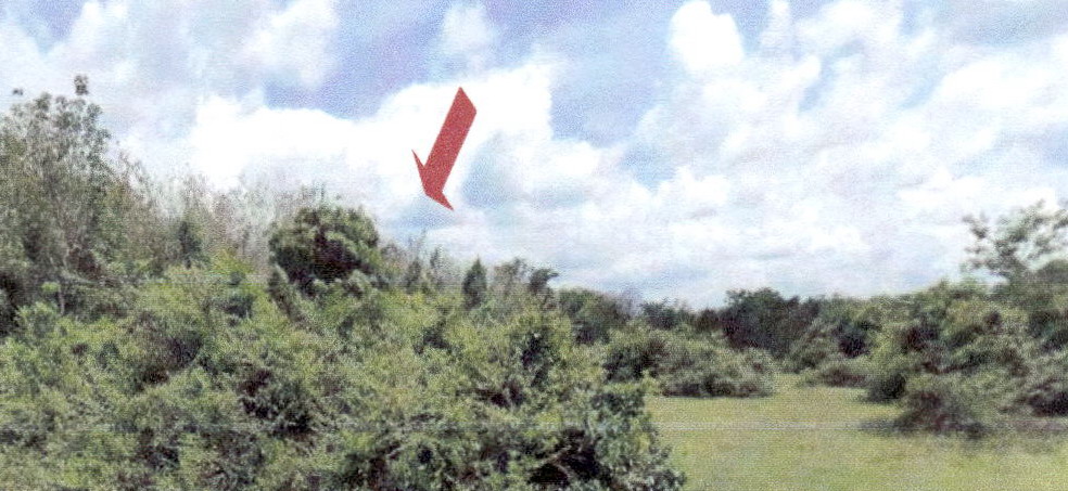 รูปที่ดินว่างเปล่า อาซ่อง รามัน ยะลา