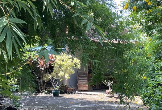 รูปที่ดินพร้อมสิ่งปลูกสร้าง เมืองคง คง นครราชสีมา