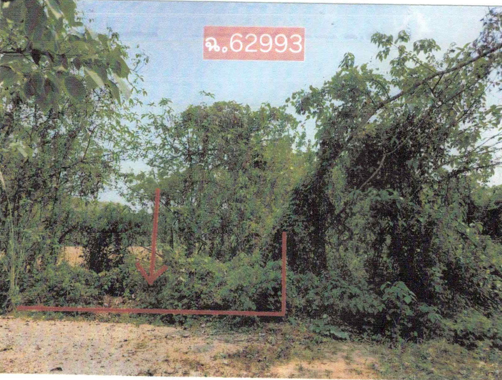 รูปที่ดินว่างเปล่า เมือง เมืองเลย เลย