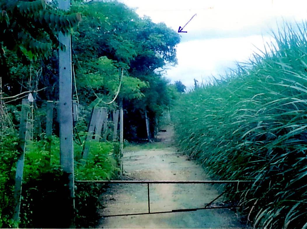 รูปที่ดินว่างเปล่า วังขนาย ท่าม่วง กาญจนบุรี