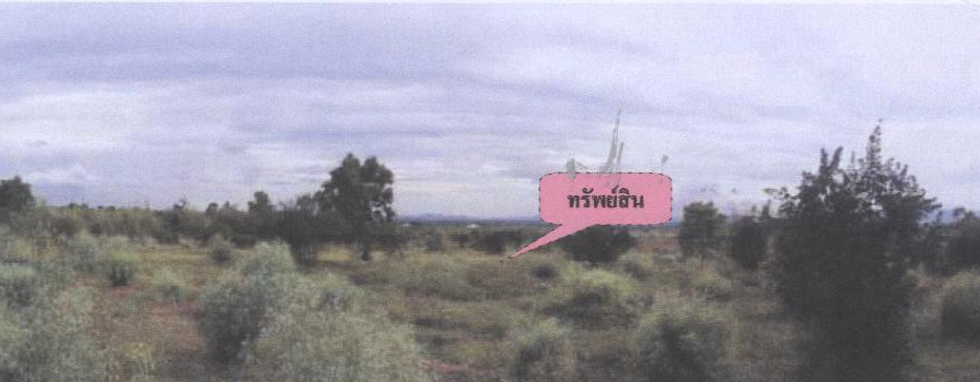 รูปที่ดินว่างเปล่า หนองประดู่ เลาขวัญ กาญจนบุรี