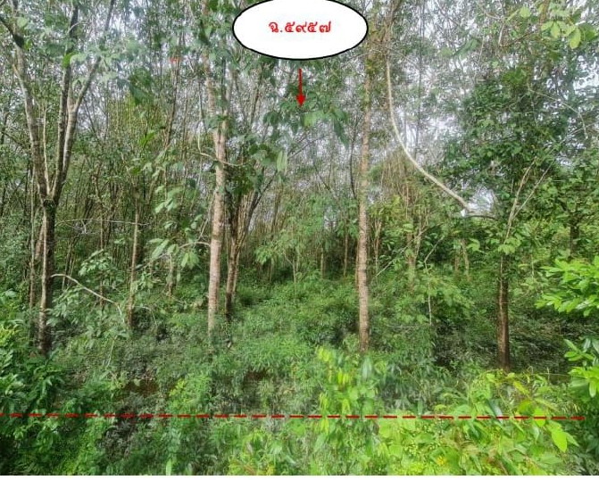 รูปที่ดินว่างเปล่า ละหาร ยี่งอ นราธิวาส