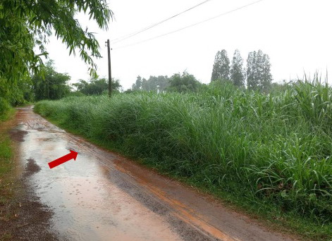 รูปที่ดินว่างเปล่า หนองสรวง หนองกุงศรี กาฬสินธุ์