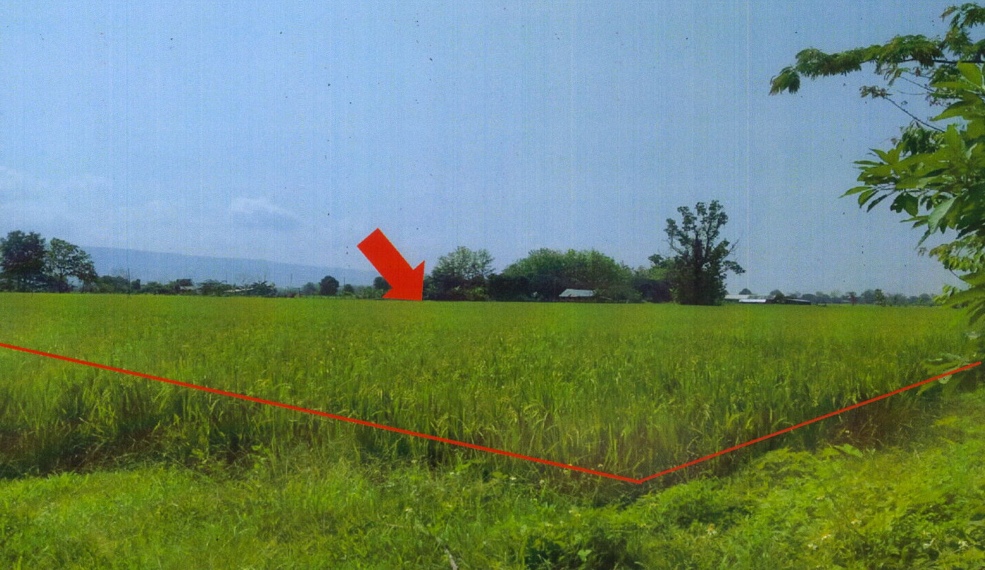 รูปที่ดินว่างเปล่า สันมะเค็ด พาน เชียงราย