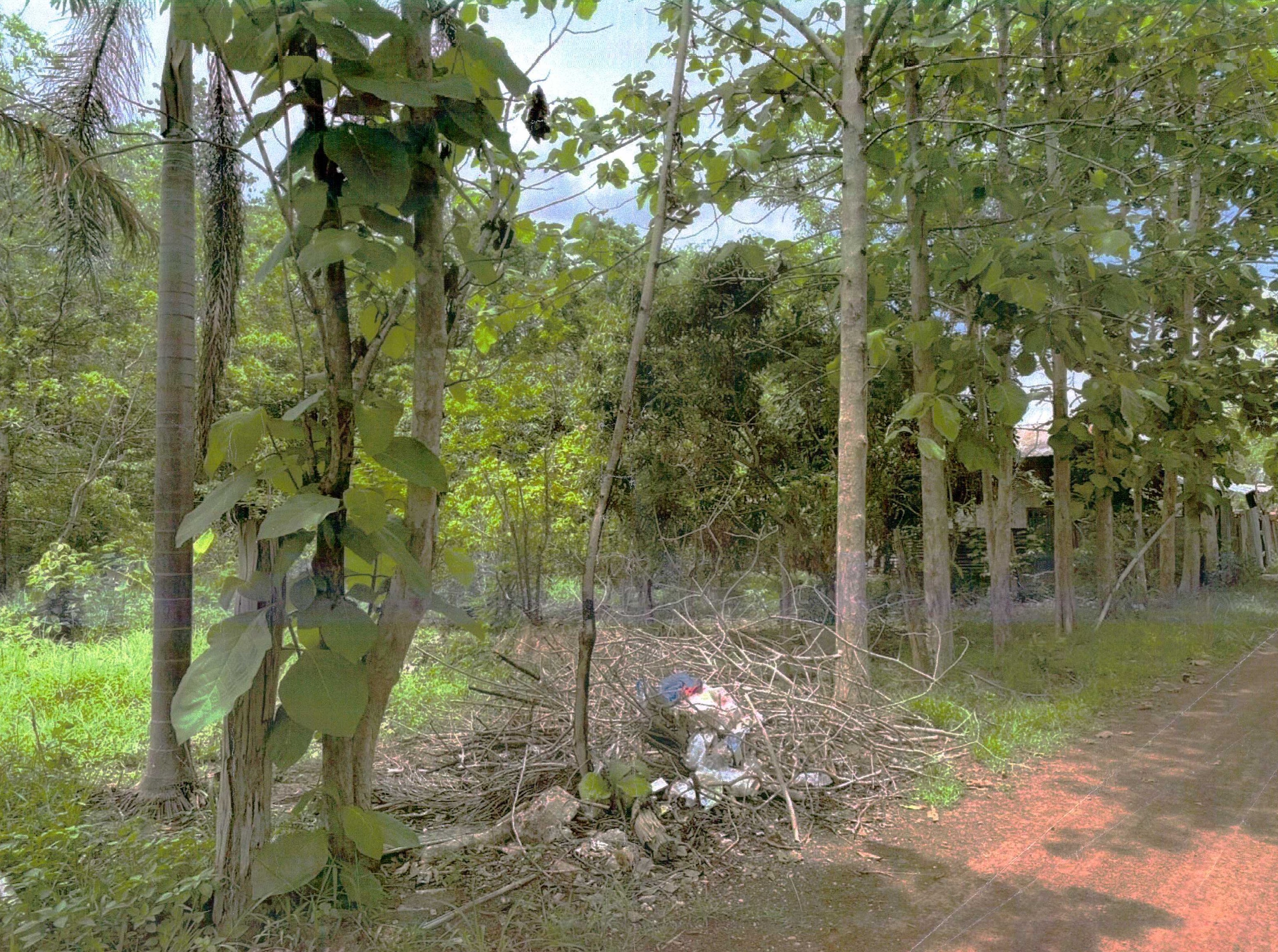รูปที่ดินว่างเปล่า ปะโค เมืองหนองคาย หนองคาย