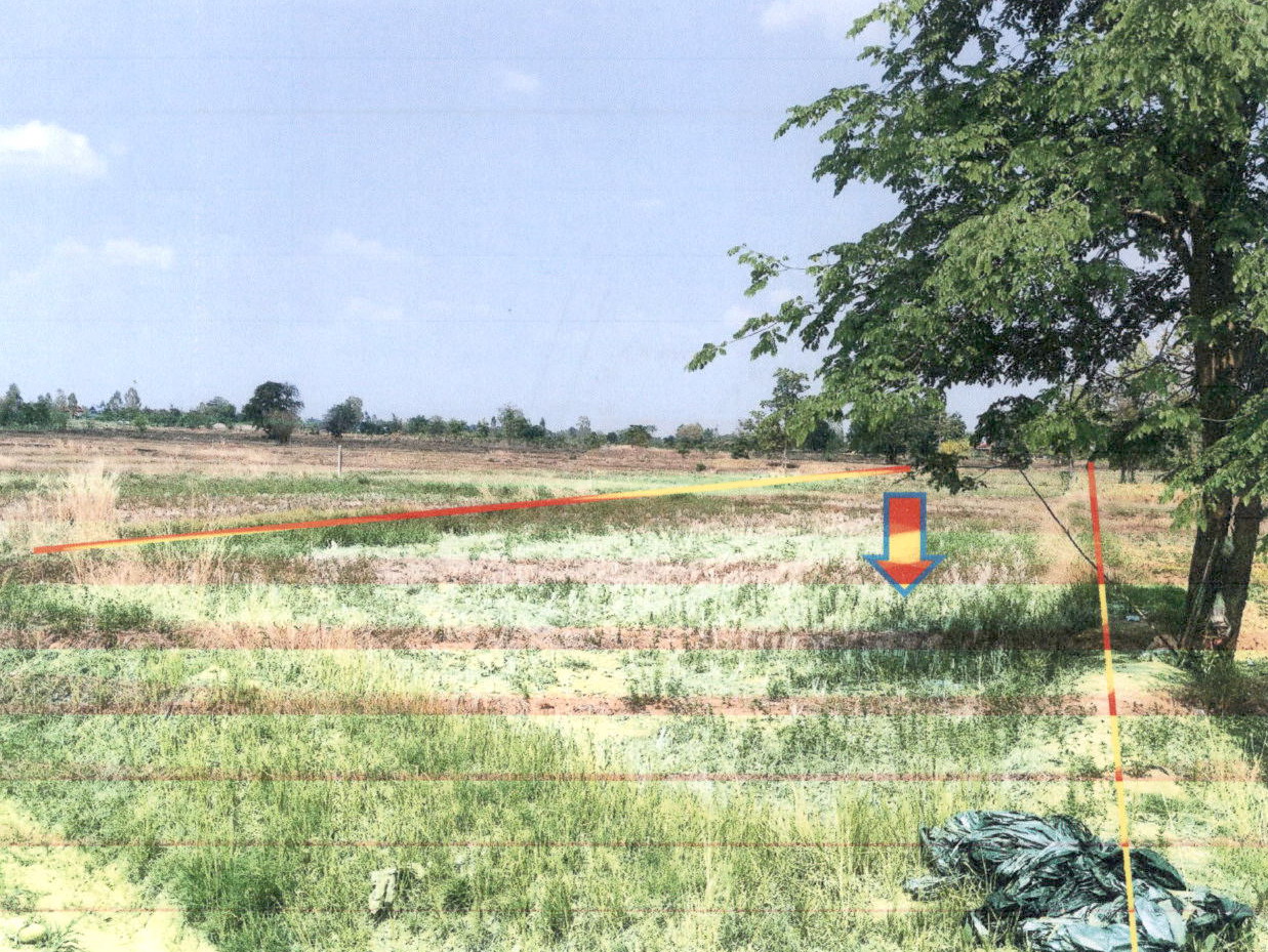 รูปที่ดินว่างเปล่า ไผ่ เมืองกาฬสินธุ์ กาฬสินธุ์