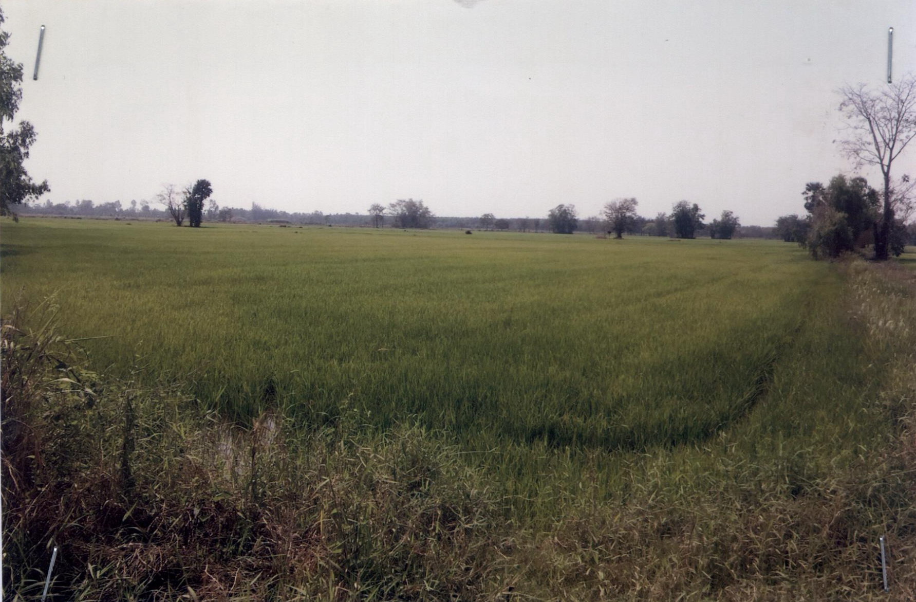 รูปที่ดินว่างเปล่า เขาคีริส พรานกระต่าย กำแพงเพชร