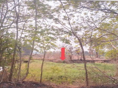 รูปที่ดินว่างเปล่า ขัวก่าย วานรนิวาส สกลนคร